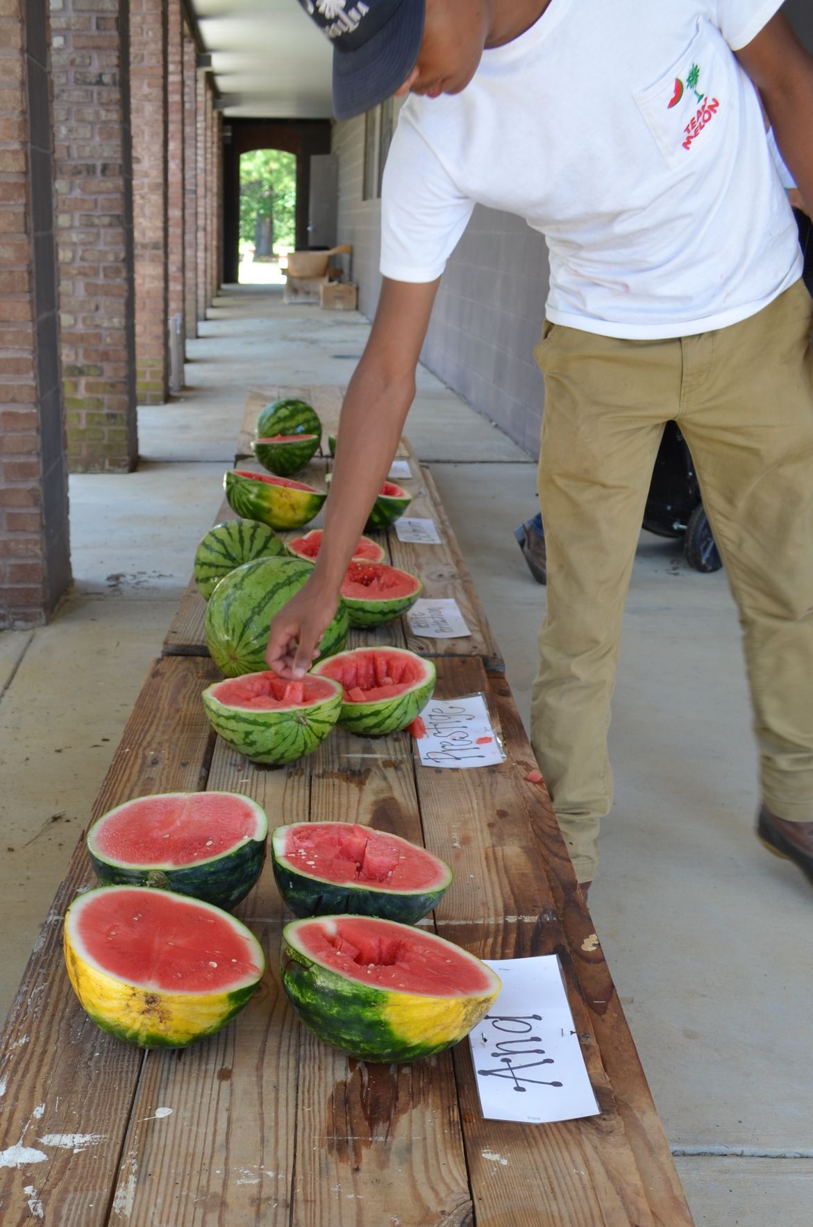 Watermelon Field Day
